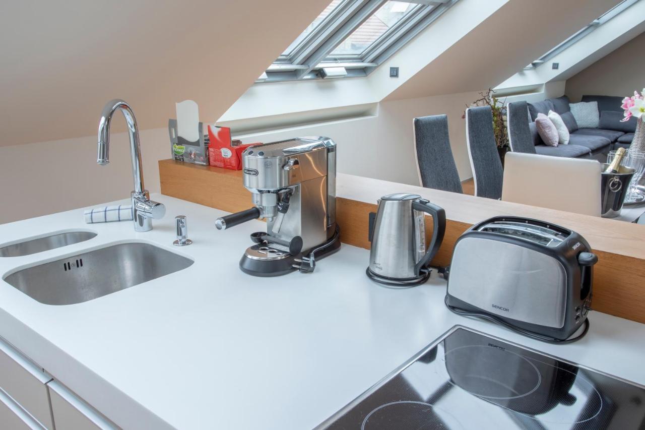 Luxury Duplex With Terrace Apartament Praga